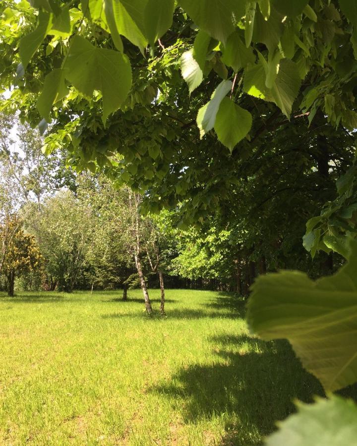Happy Hill - Appartamento Bambu- Natura E Relax Santa Maria Rocca Exterior photo