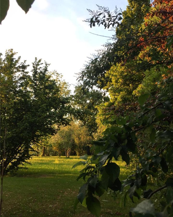Happy Hill - Appartamento Bambu- Natura E Relax Santa Maria Rocca Exterior photo
